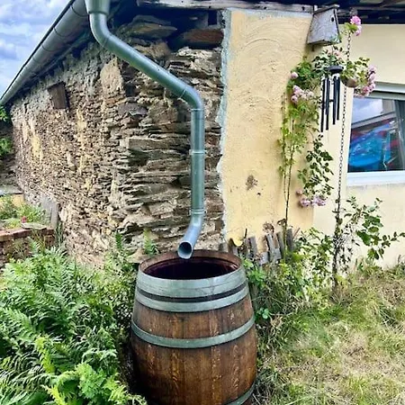 Stabenhof Mosel - Private Sauna, Whirlpool Und アパート *