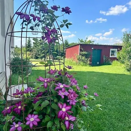 Appartamento Mosel Urlaub Stabenhof - Whirlpool, Und Grill