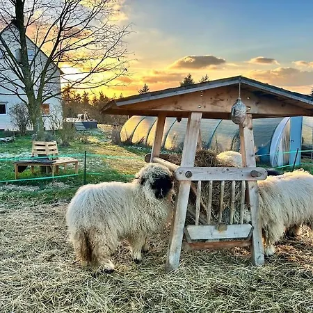 Mosel Urlaub Stabenhof - Whirlpool, Und Grill Brodenbach