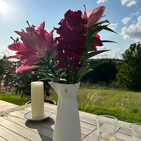 Stabenhof Mosel - Private Sauna, Whirlpool Und アパート