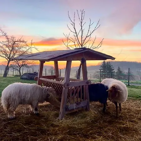 Appartamento Mosel Urlaub Stabenhof - Whirlpool, Und Grill *