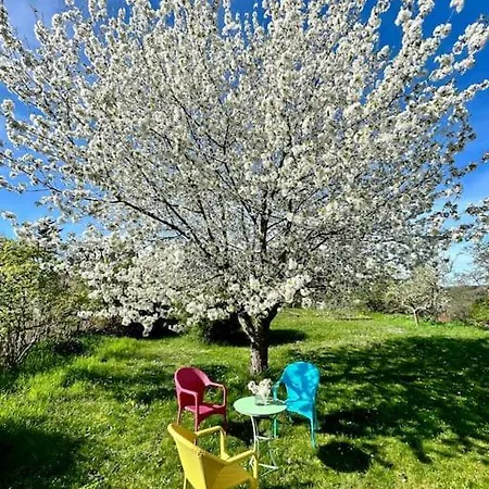 Mosel Urlaub Stabenhof - Whirlpool, Und Grill Brodenbach