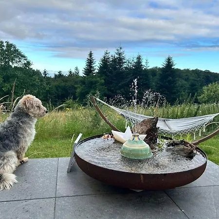 Appartamento Mosel Urlaub Stabenhof - Whirlpool, Und Grill *