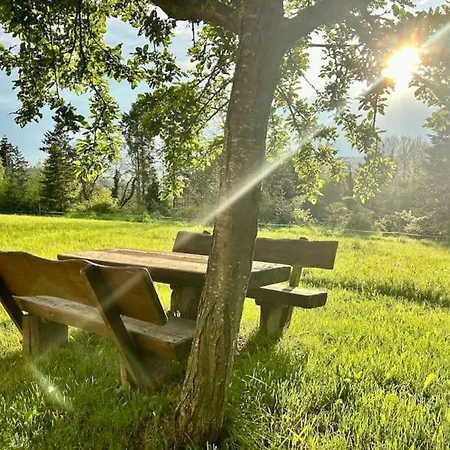 Mosel Urlaub Stabenhof - Whirlpool, Und Grill