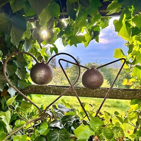 Appartement Mosel Urlaub Stabenhof - Whirlpool, Und Grill Brodenbach