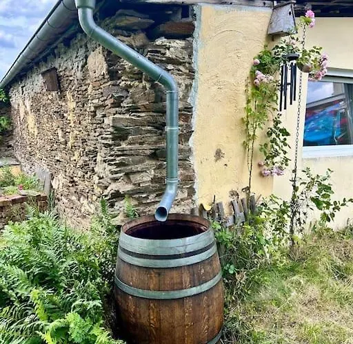 Mosel Urlaub Stabenhof - Whirlpool, Und Grill 公寓 *