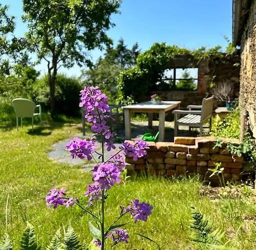 公寓 Mosel Urlaub Stabenhof - Whirlpool, Und Grill 布罗登巴赫