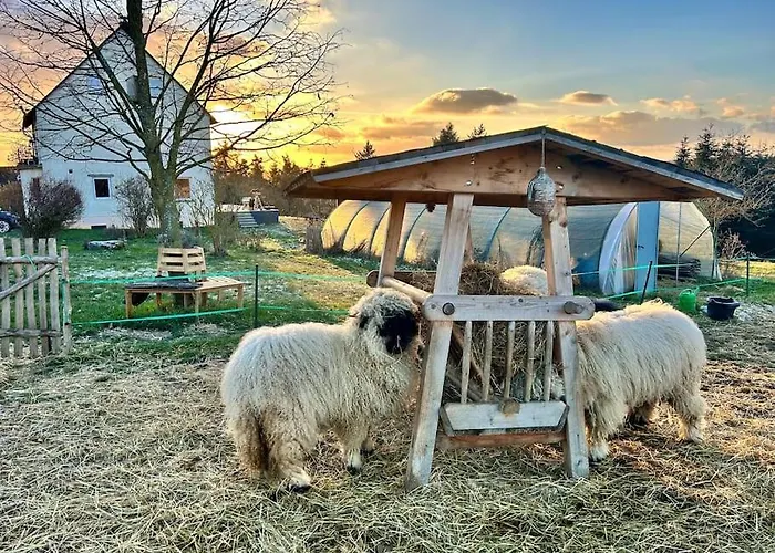 Mosel Urlaub Stabenhof - Whirlpool, Und Grill 布罗登巴赫