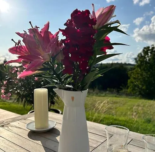 Mosel Urlaub Stabenhof - Whirlpool, Und Grill 公寓