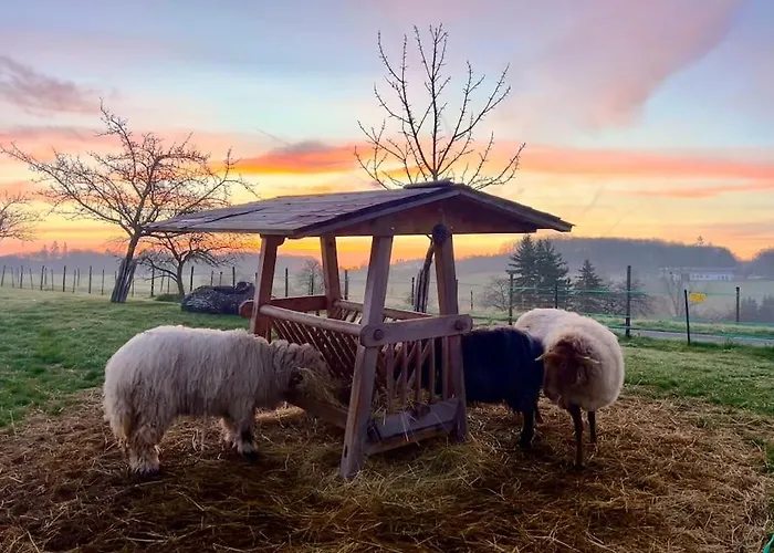 公寓 Mosel Urlaub Stabenhof - Whirlpool, Und Grill *