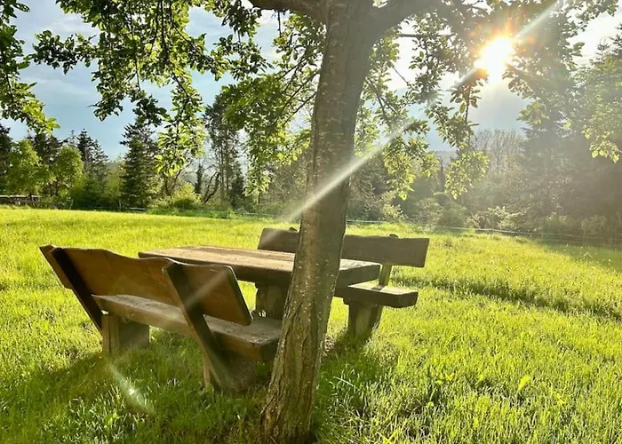 Mosel Urlaub Stabenhof - Whirlpool, Und Grill