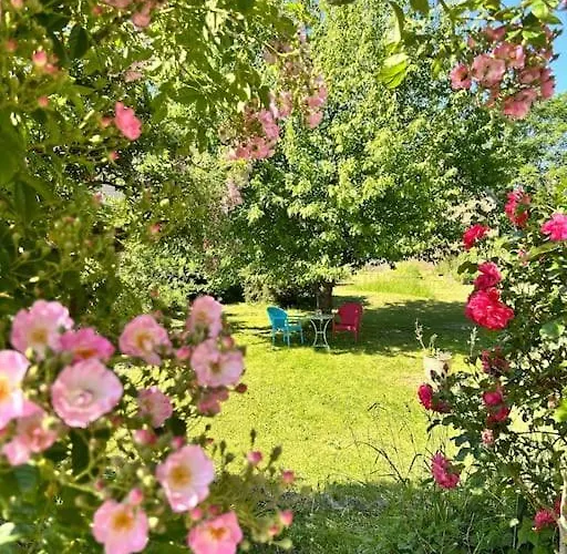 Mosel Urlaub Stabenhof - Whirlpool, Und Grill 公寓