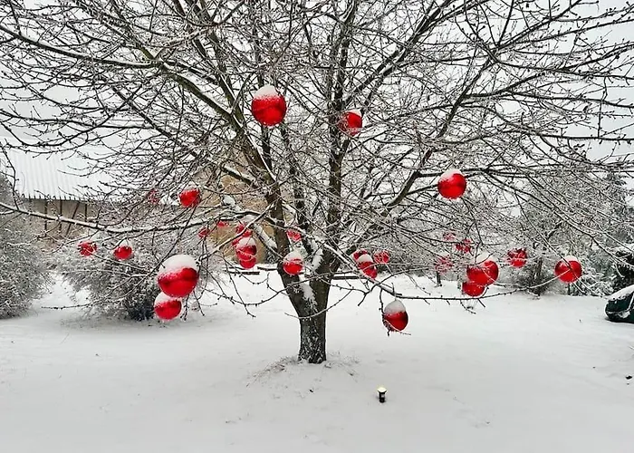 Mosel Urlaub Stabenhof - Whirlpool, Und Grill